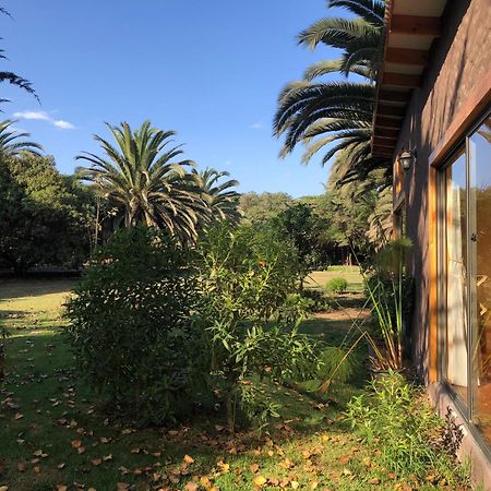 Cabanas En La Naturaleza A Pasos De La Playa La Serena Szoba fotó